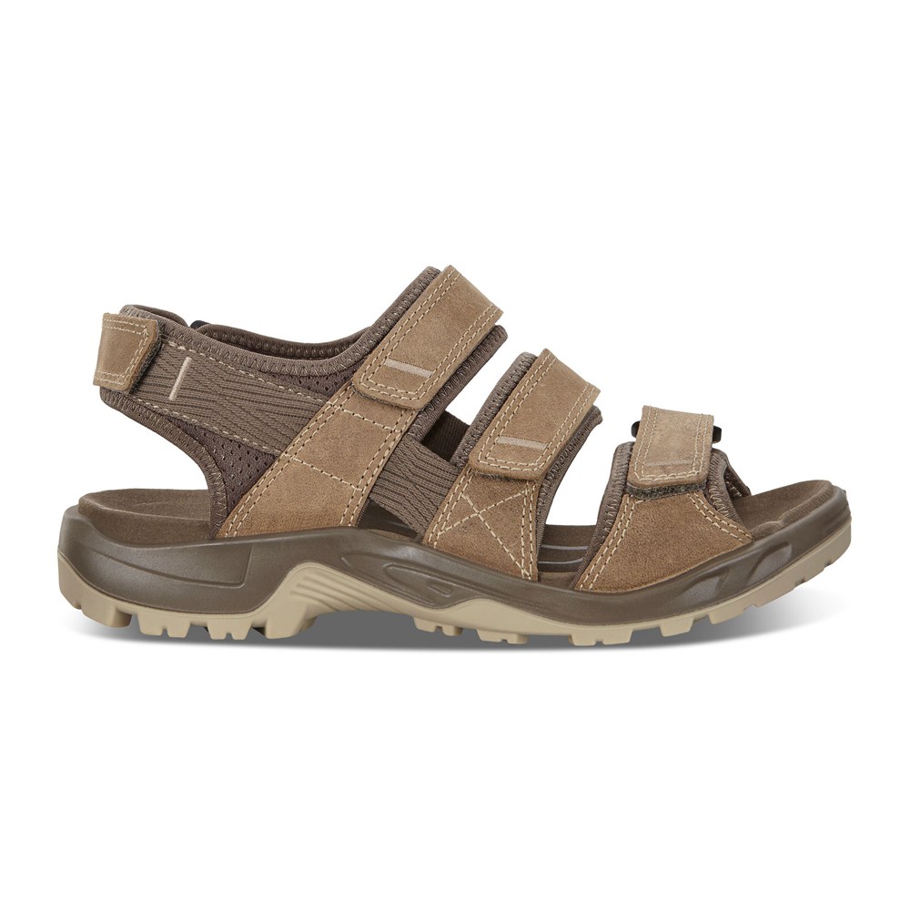 ECCO Mens Sandals Brown - Offroad Flat - GIH-947150